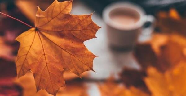 عکسهای زیبای پاییزی برای پروفایل