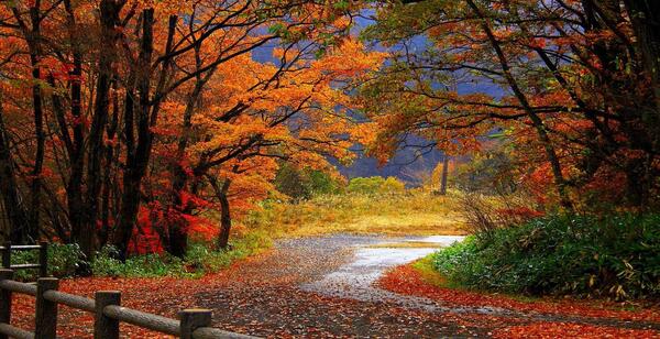 عکس زیبا برای فصل پاییز