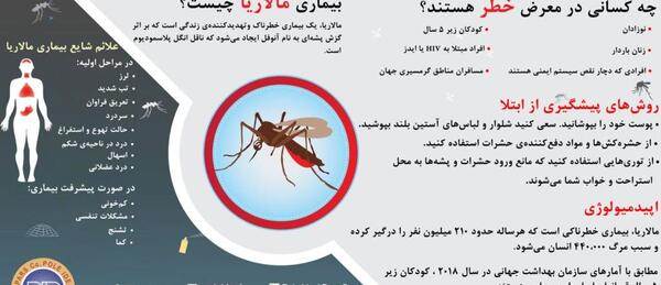 عکس پشه ی مارالیا