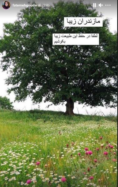 عکس پیام گودرزی