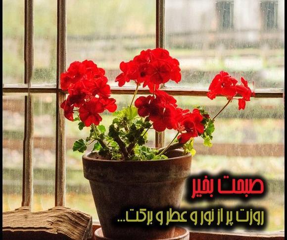 عکس با کیفیت صبح بخیر