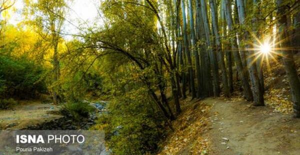 عکس پاییز طبیعت ایران