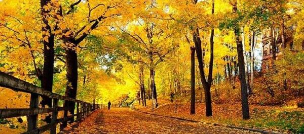 عکس پاییز طبیعت ایران