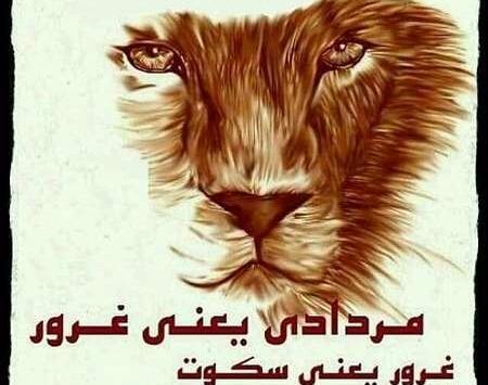 عکس شیر مردادی