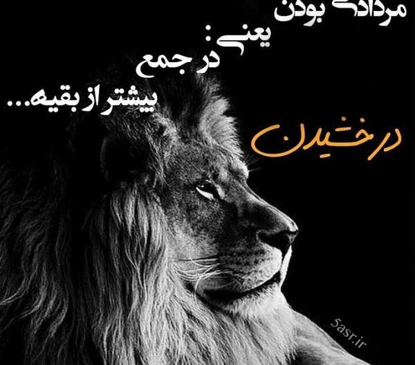 عکس شیر مردادی
