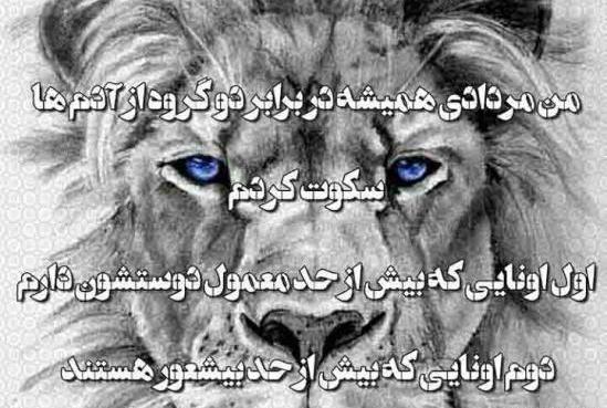عکس شیر مردادی