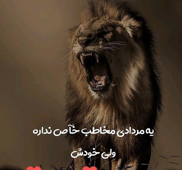 عکس شیر مردادی