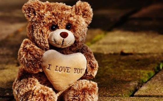عکس پس زمینه خرس