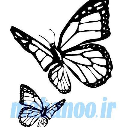 عکس ایده برای نقاشی پروانه