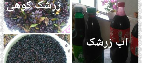 عکس زرشک کوهی