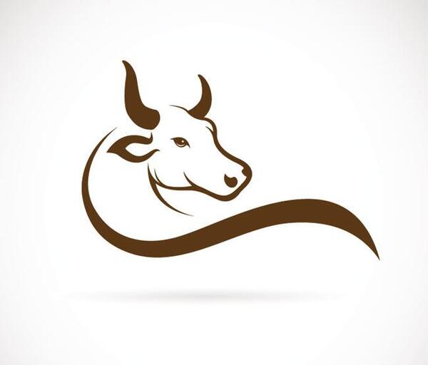 عکس دانلود وکتور گاو
