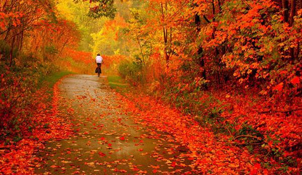 عکس زیبا در فصل پاییز