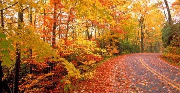 عکس زیبا در فصل پاییز