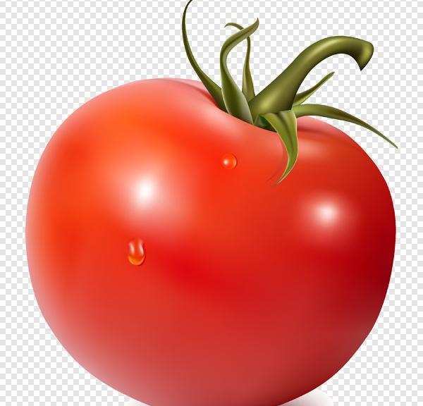 عکس png گوجه