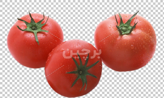 عکس png گوجه