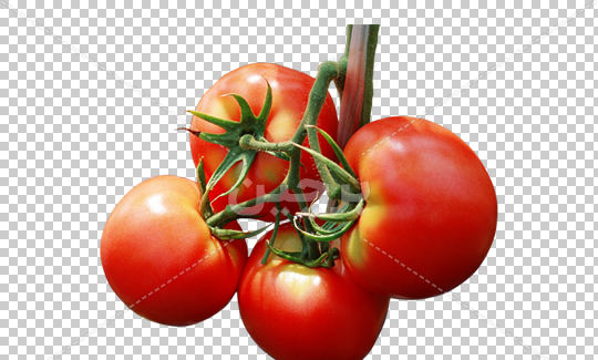 عکس png گوجه