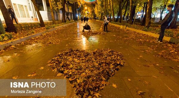 عکس برگ پاییزی قلبی