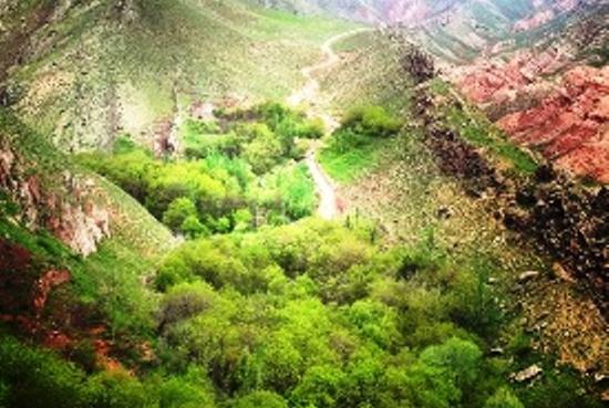 عکس روستای زاوین