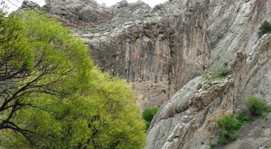 عکس روستای زاوین