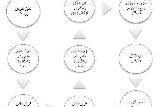 عکس و تصویر نقاط حجامت