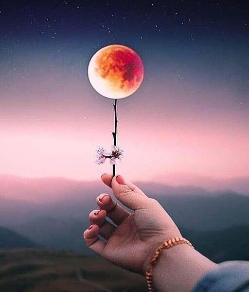 عکس های شیک برای پروفایل