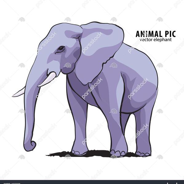عکس وکتور فیل