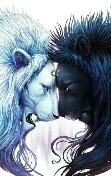 عکس شیر کیوت