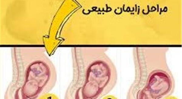 عکس دکتر پوران حاجیان