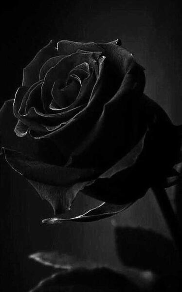 عکس پس زمینه غمگین مشکی