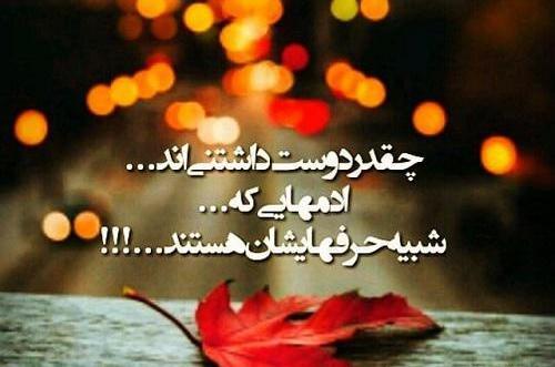 عکس و تصویر پروفایل