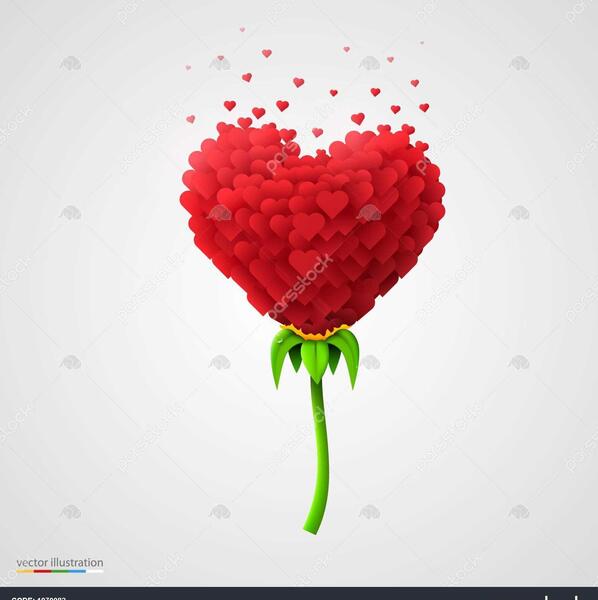 عکس قلب کوچک