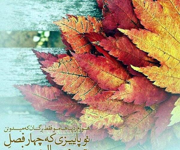 عکس پاییز امد