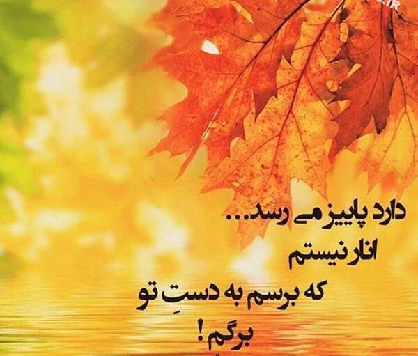عکس پاییز امد