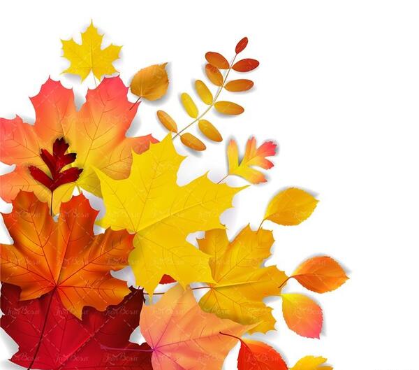 عکس دانلود وکتور برگ پاییزی