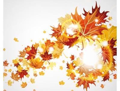 عکس دانلود وکتور برگ پاییزی