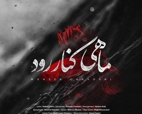 قاب عکس خالی چاوشی
