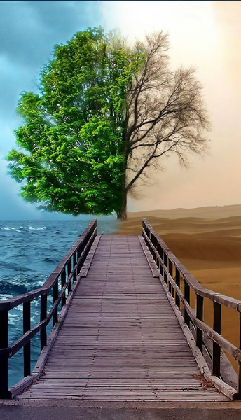 عکس تصویر زمینه گوشی زیبا