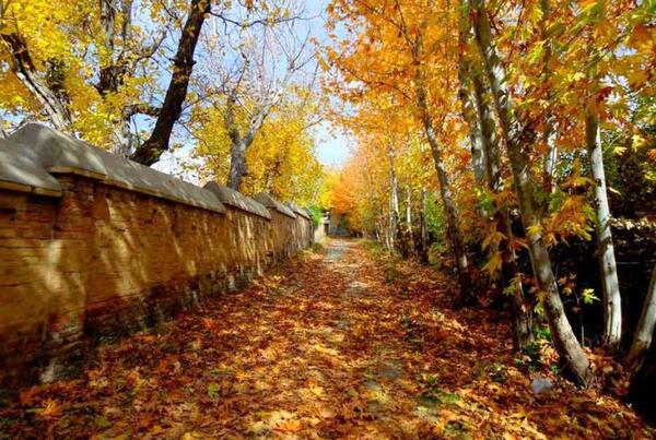 عکس پاییز ایران