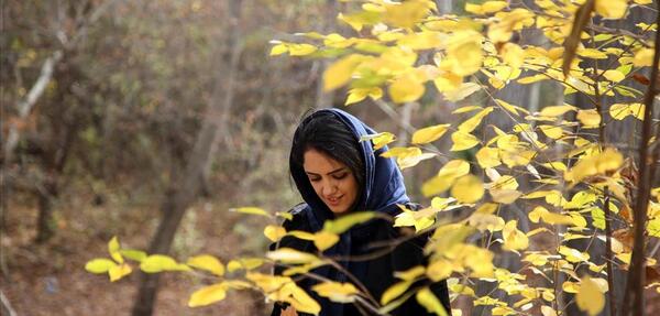 عکس پاییز ایران