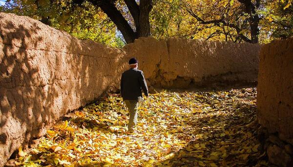 عکس پاییز ایران