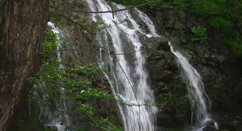 عکسهای دیدنی زنجان