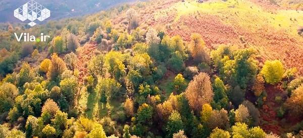 عکس پاییز رامسر