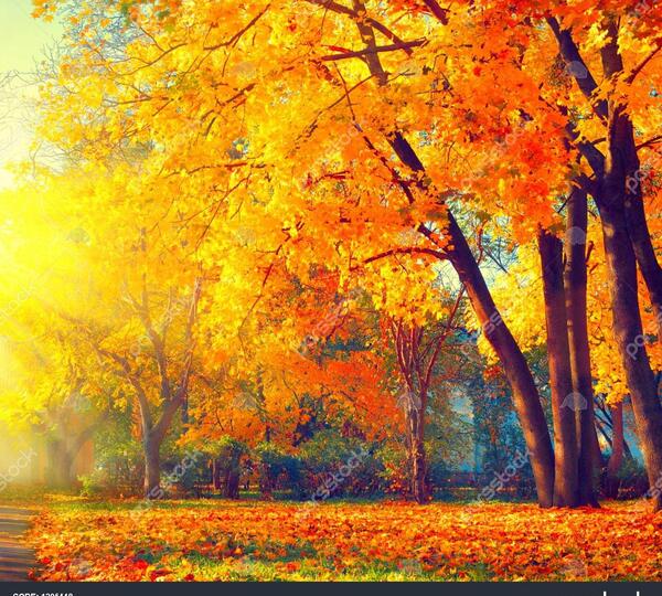 عکس زیبای پاییزی از طبیعت
