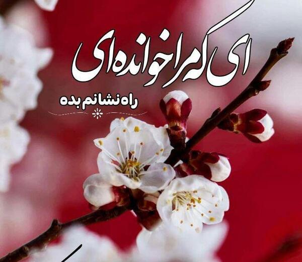 عکس پروفایل جذاب دوست داشتنی