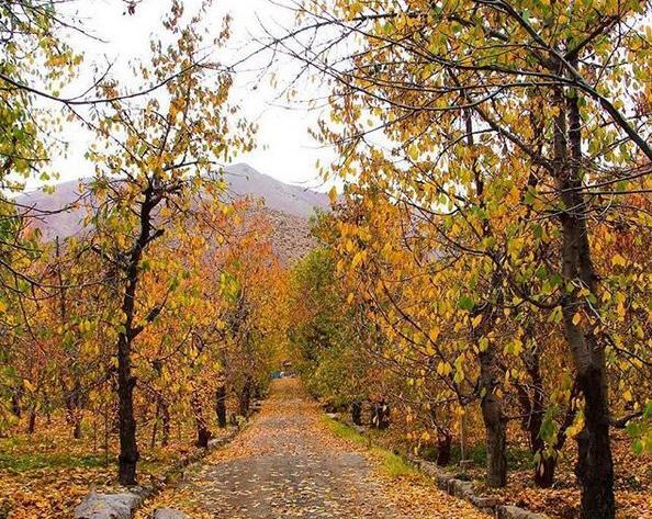 یک عکس زیبا از پاییز