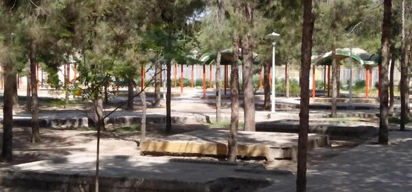 عکس بوستان ارغوان قم