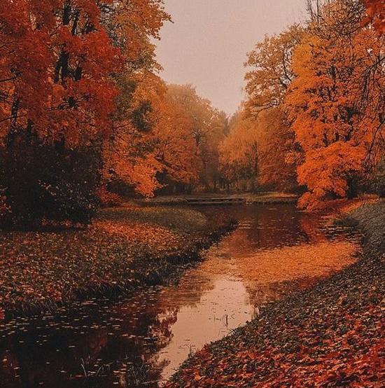 عکس پروفایل از فصل پاییز