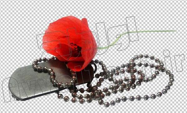 عکس لایه باز پلاک