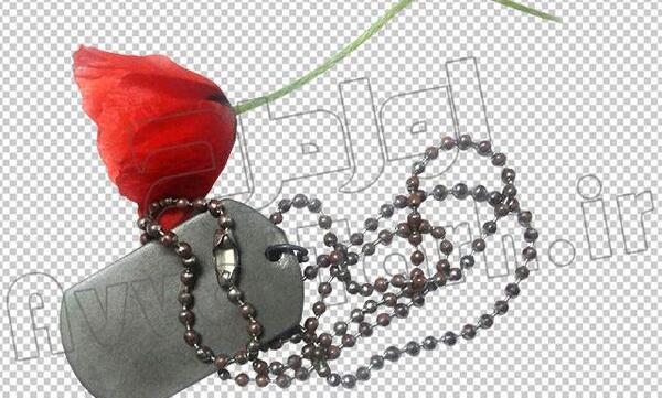 عکس لایه باز پلاک