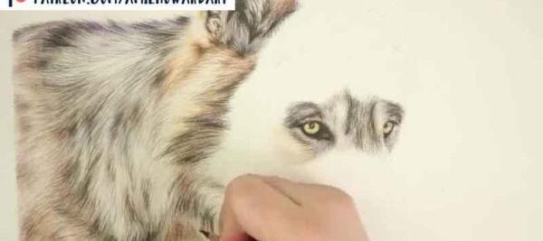 عکس ایده نقاشی گرگ